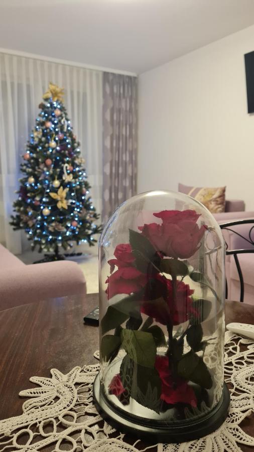 גורה הומורולווי Apartament Violeta מראה חיצוני תמונה