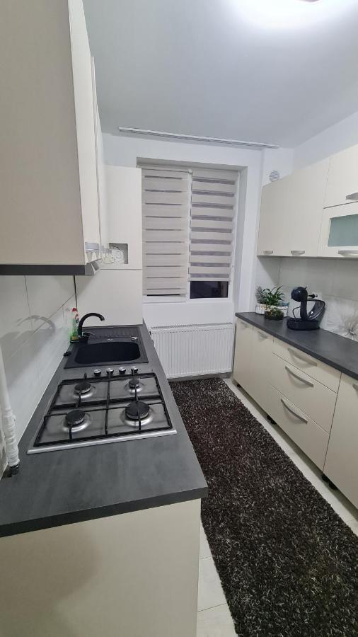 גורה הומורולווי Apartament Violeta מראה חיצוני תמונה