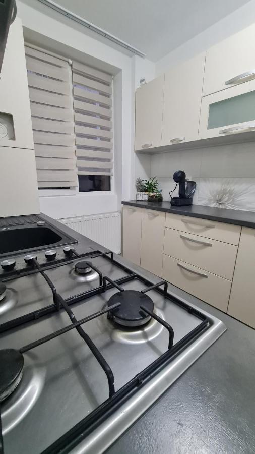 גורה הומורולווי Apartament Violeta מראה חיצוני תמונה